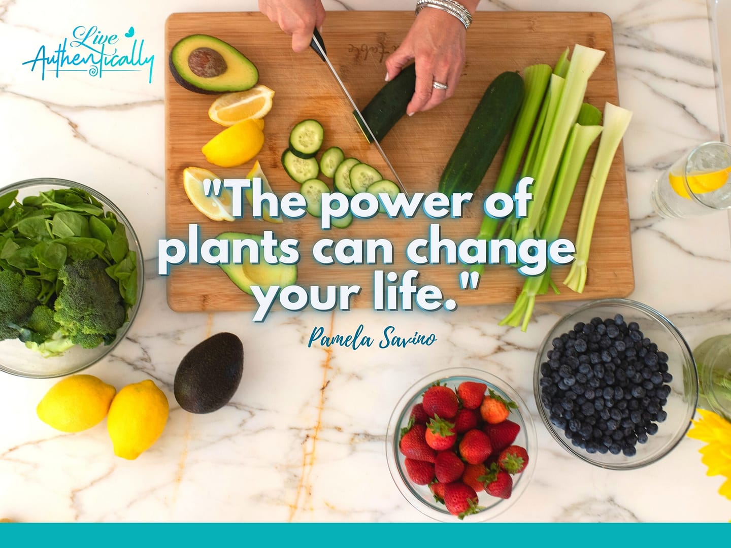 The Power of Plants Can Change Your Life