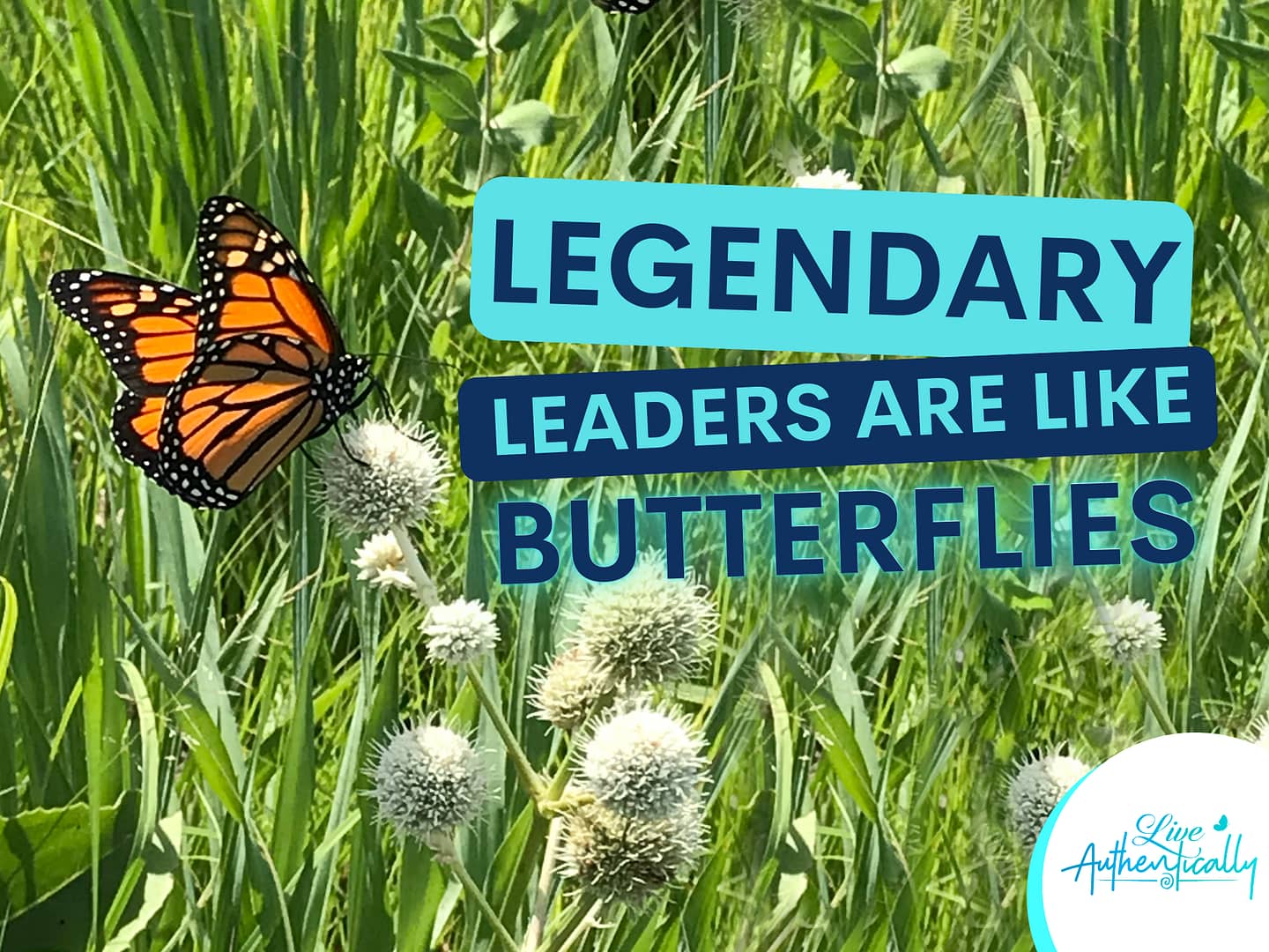 Legendary Leaders Are Like Butterflies